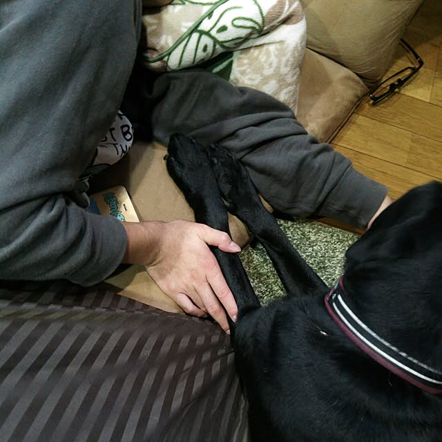 ohisamaさんの実例写真