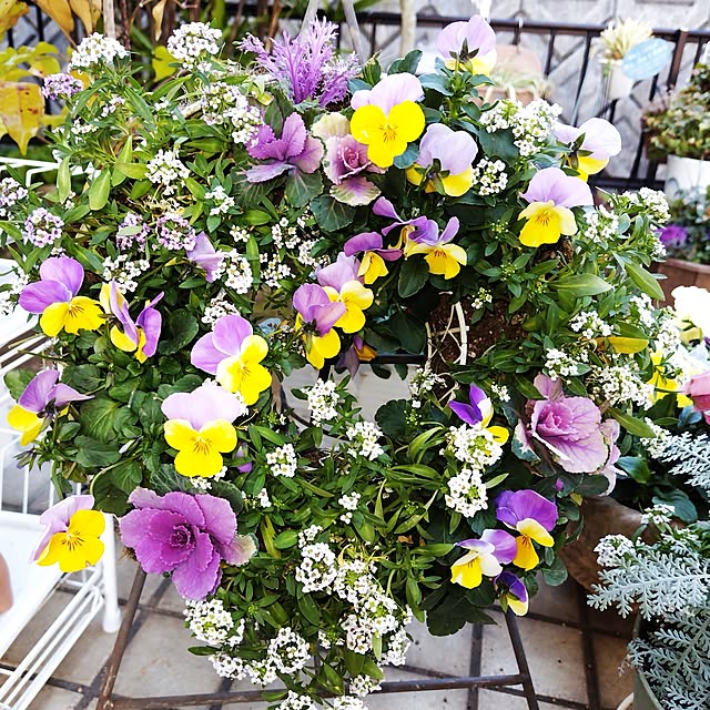 katさんの実例写真