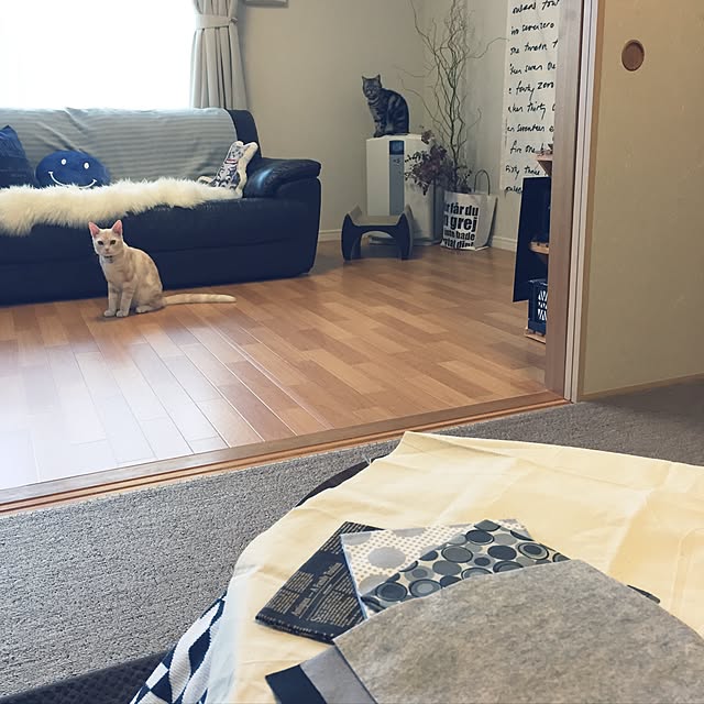 hiyupan88さんの実例写真