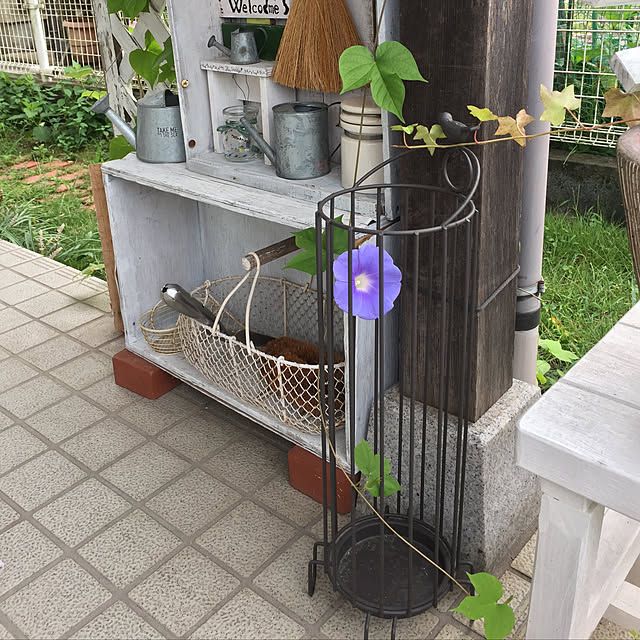 cyaroさんの実例写真
