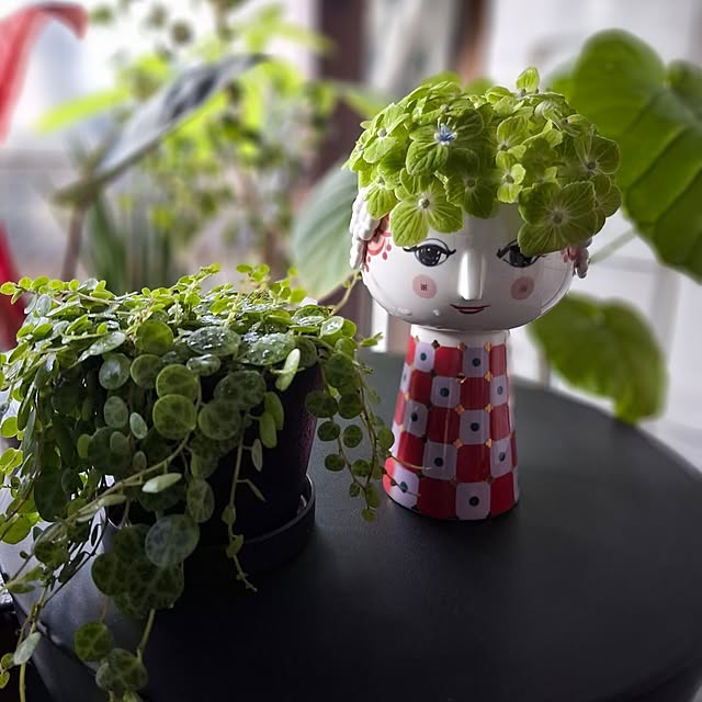 noaさんの実例写真