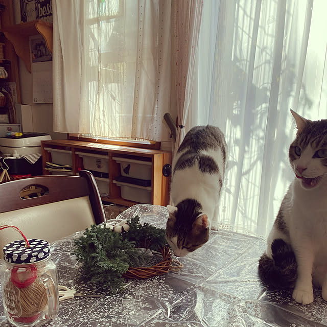 Lufuさんの実例写真