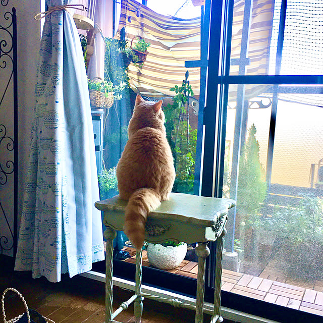 naokoさんの実例写真