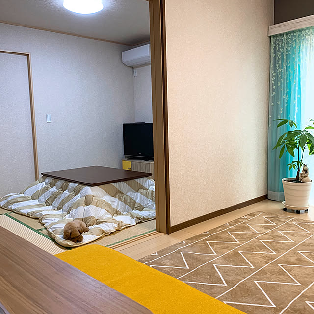 Samさんの実例写真