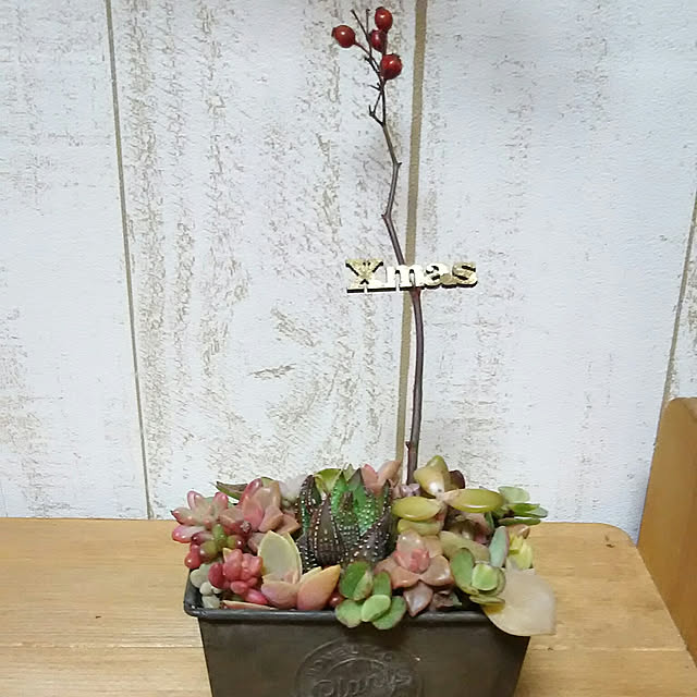 naopyiさんの実例写真