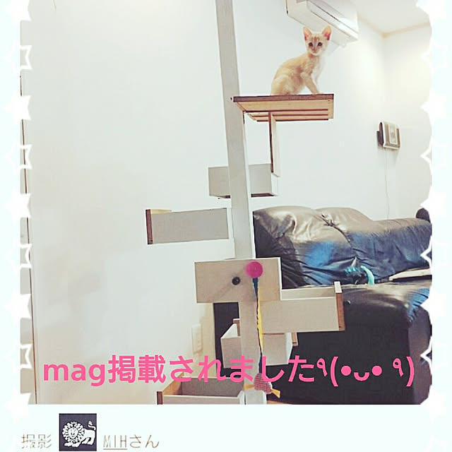 MIHさんの実例写真