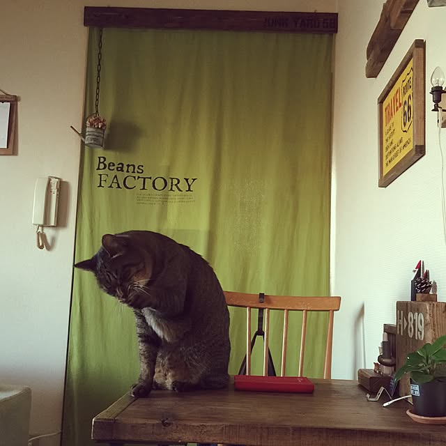 beansさんの実例写真