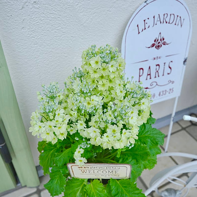 KNさんの部屋