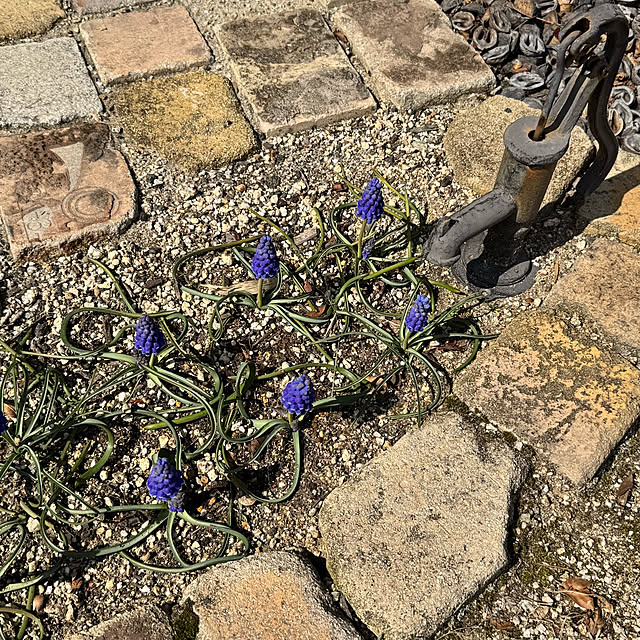 yuri.sさんの部屋