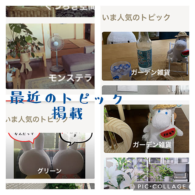 JUNさんの実例写真