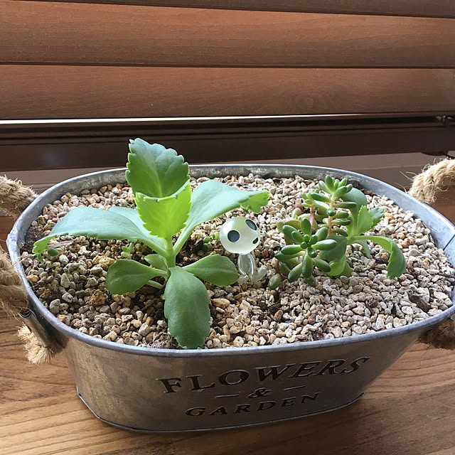 piyoさんの実例写真