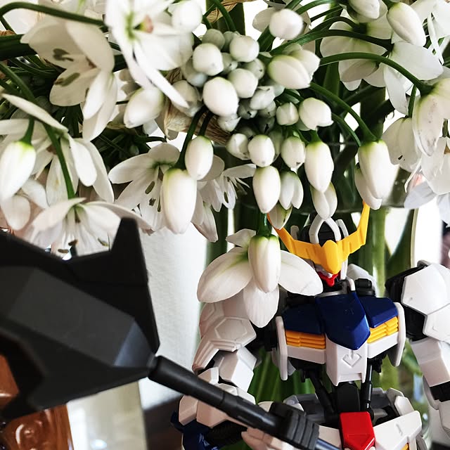 Mahiroさんの実例写真