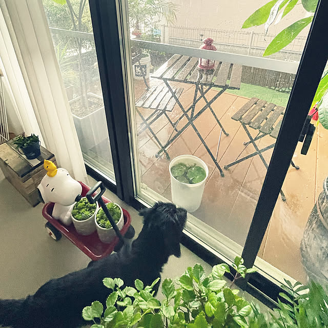 marinkoさんの実例写真