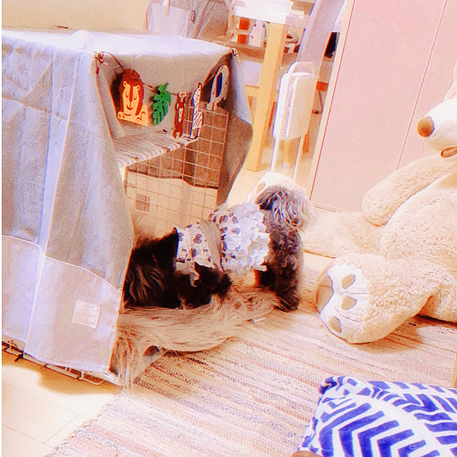 実例写真