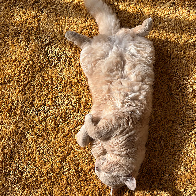 naokoさんの部屋