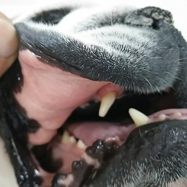 AandPさんの実例写真