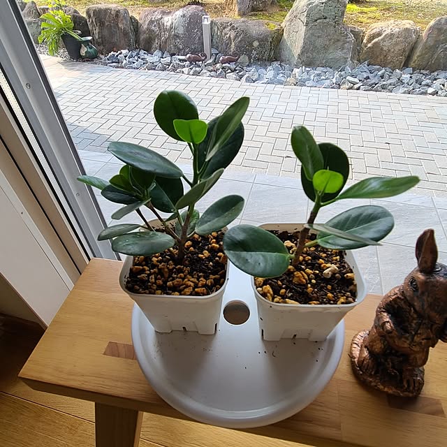 Rubiconさんの部屋
