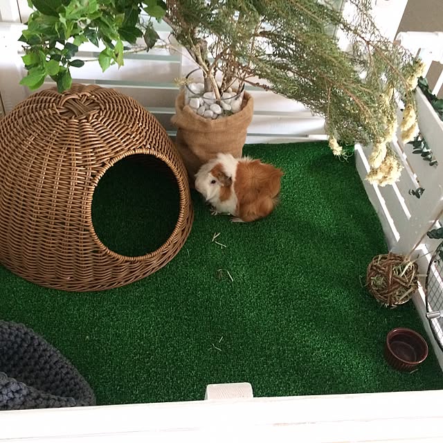 Mさんの実例写真