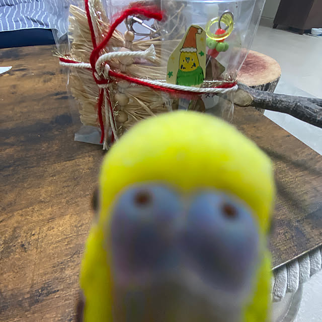 ohanaさんの部屋