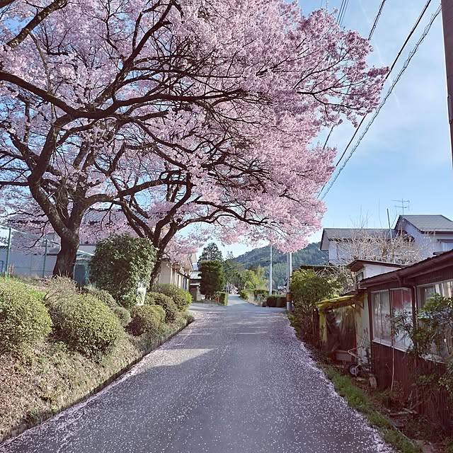 moccyan555さんの部屋