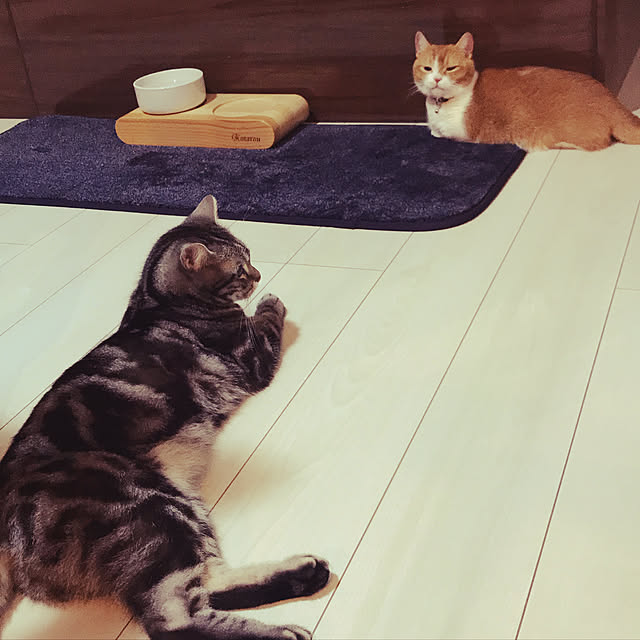 KotarouKunさんの実例写真