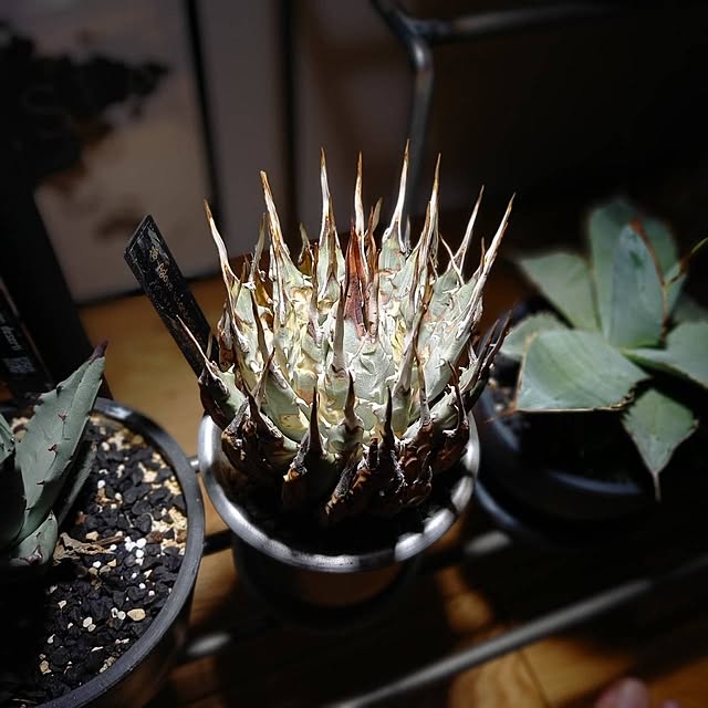 Rさんの部屋