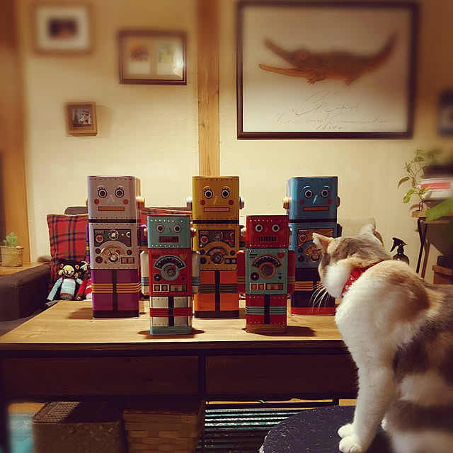 fukuさんの実例写真