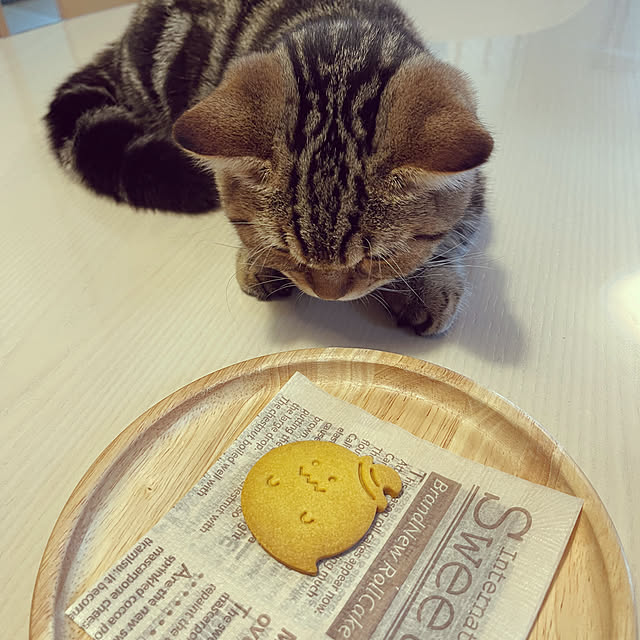 chiiさんの実例写真