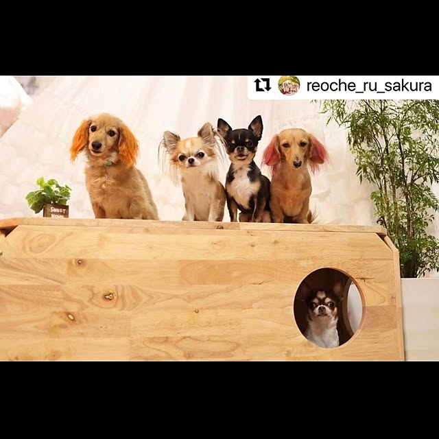 hikari.gtさんの実例写真