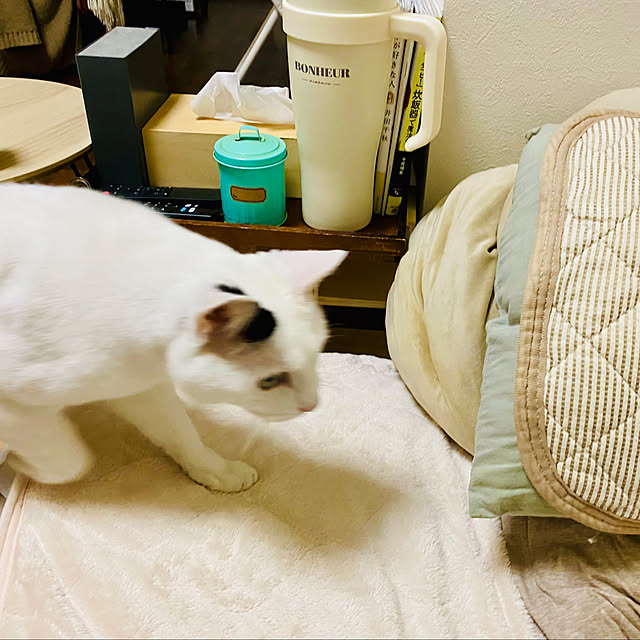 YUKAさんの部屋