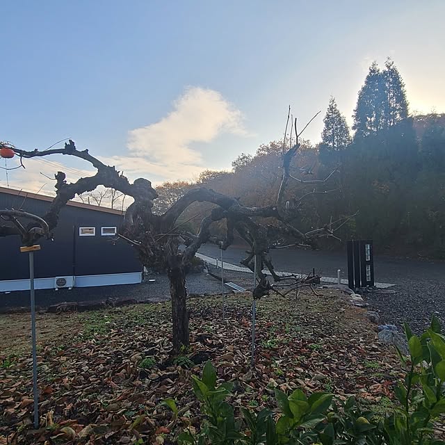 Rubiconさんの部屋