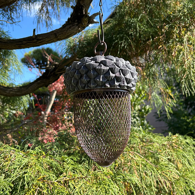 lemonさんの実例写真