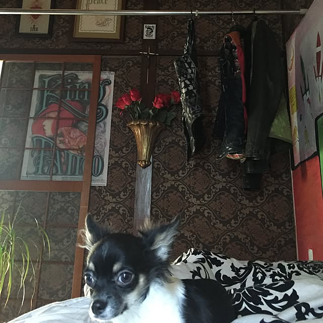 orewa696さんの実例写真