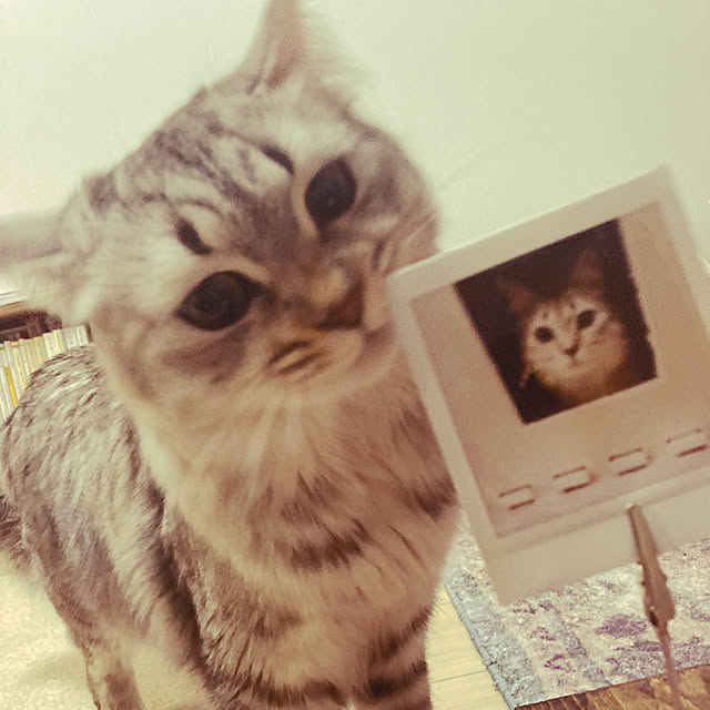 kkkさんの実例写真
