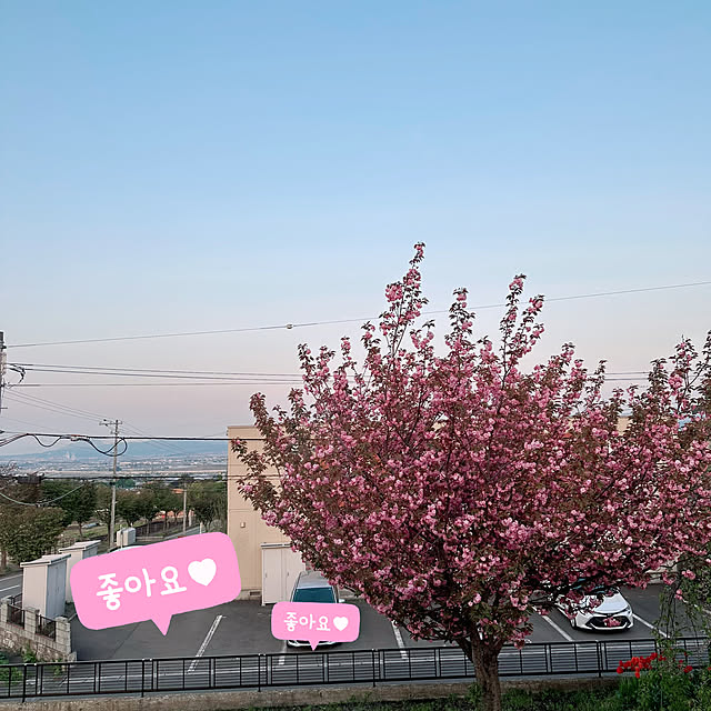 hanahana1444さんの部屋