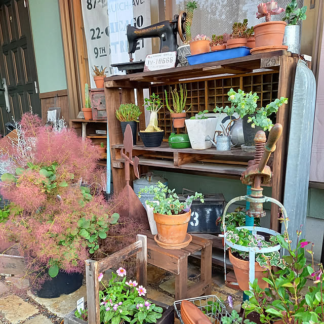 parsleymamaさんの実例写真