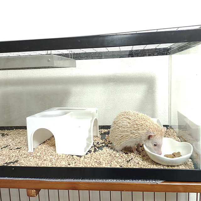 kouさんの実例写真