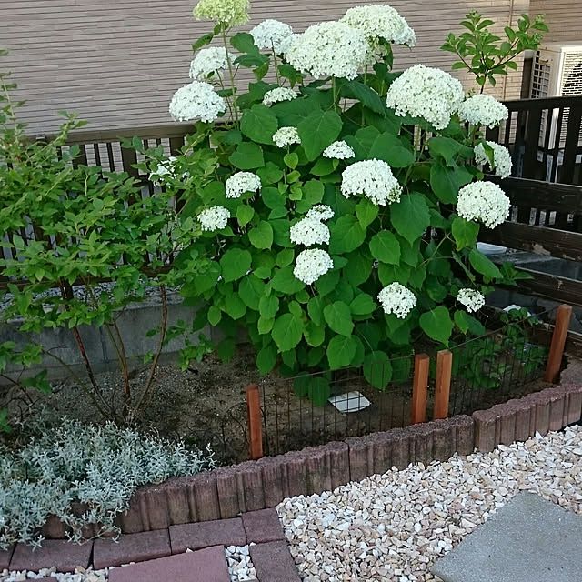 tikuwaさんの実例写真