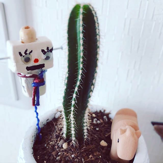 seiさんの実例写真