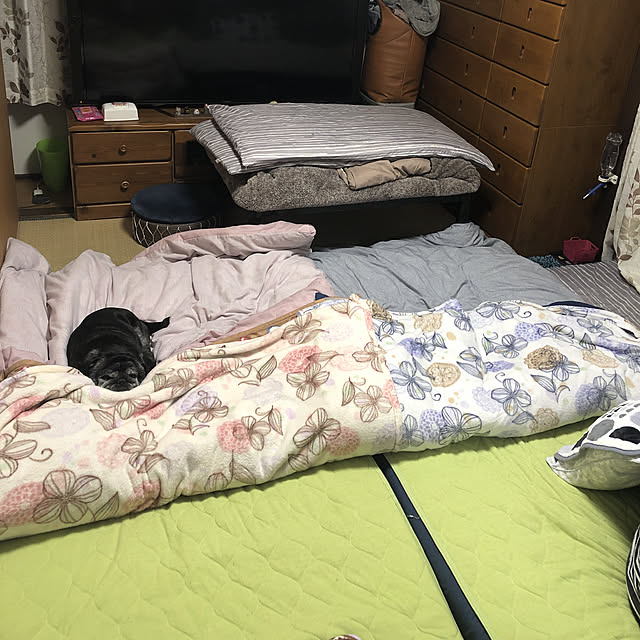 hi-さんの実例写真