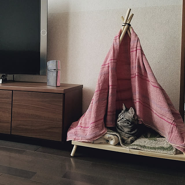 irohacorporationさんの実例写真
