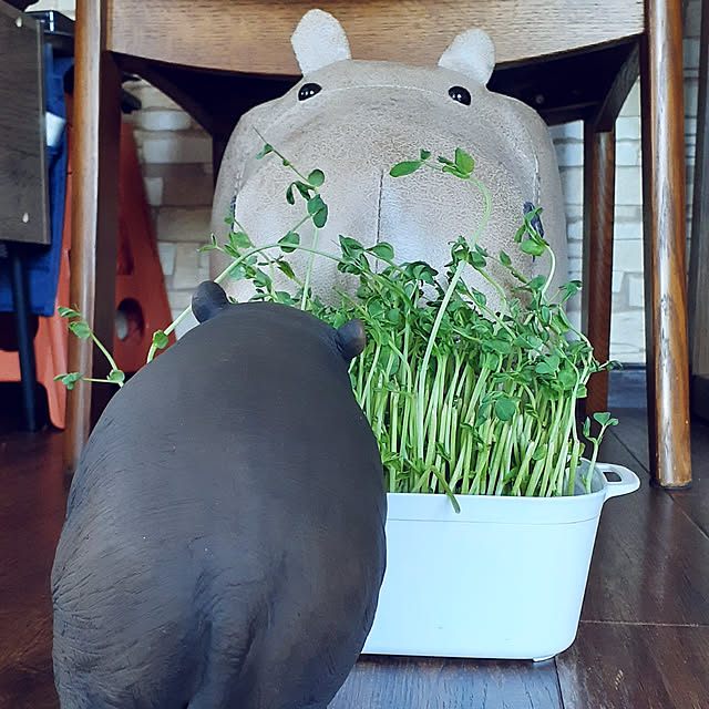 takayasuさんの実例写真