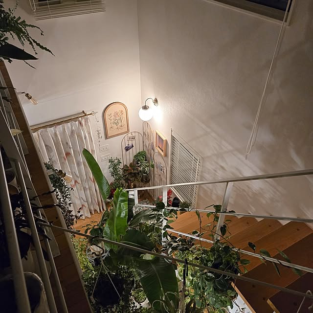 nonbiri_house_さんの実例写真