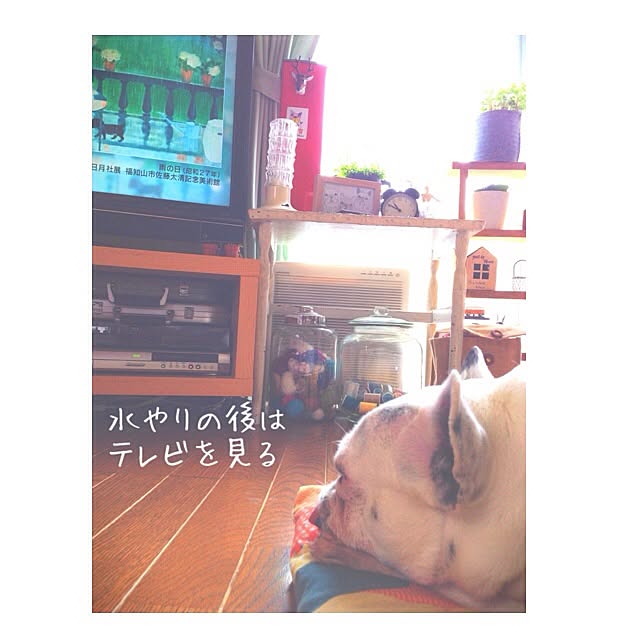 38coreさんの実例写真