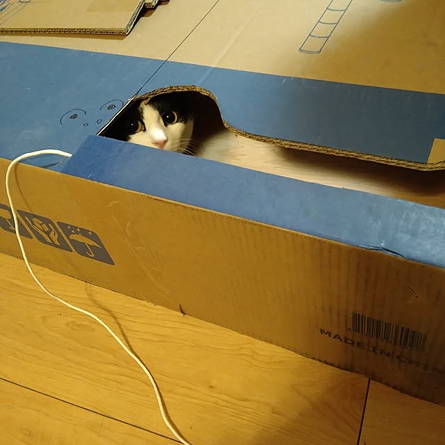 kiyohima229さんの部屋