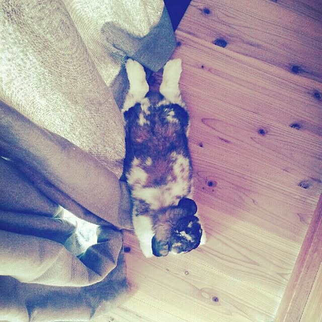 lueさんの実例写真