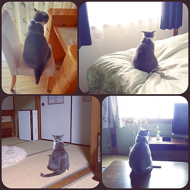 rhuさんの実例写真