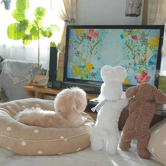 KNさんの実例写真