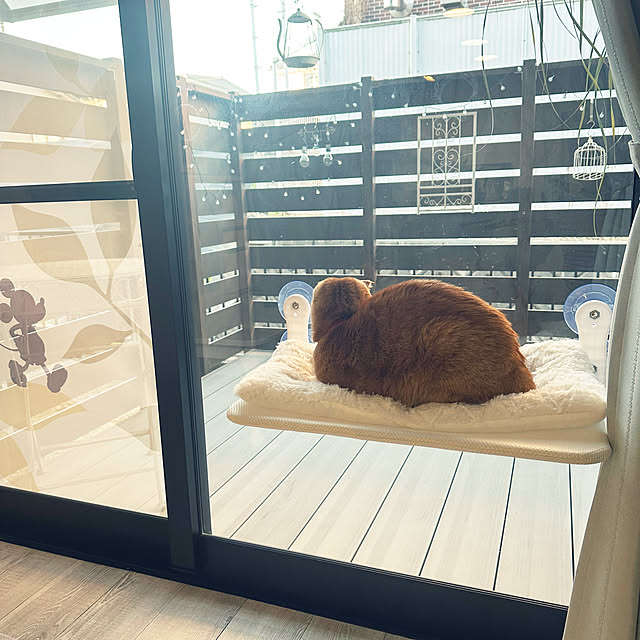 mieさんの実例写真