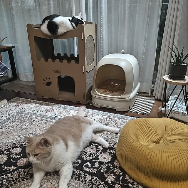 yuuさんの部屋